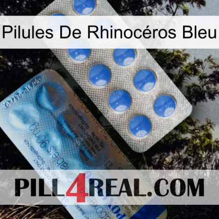 Pilules De Rhinocéros Bleu 40